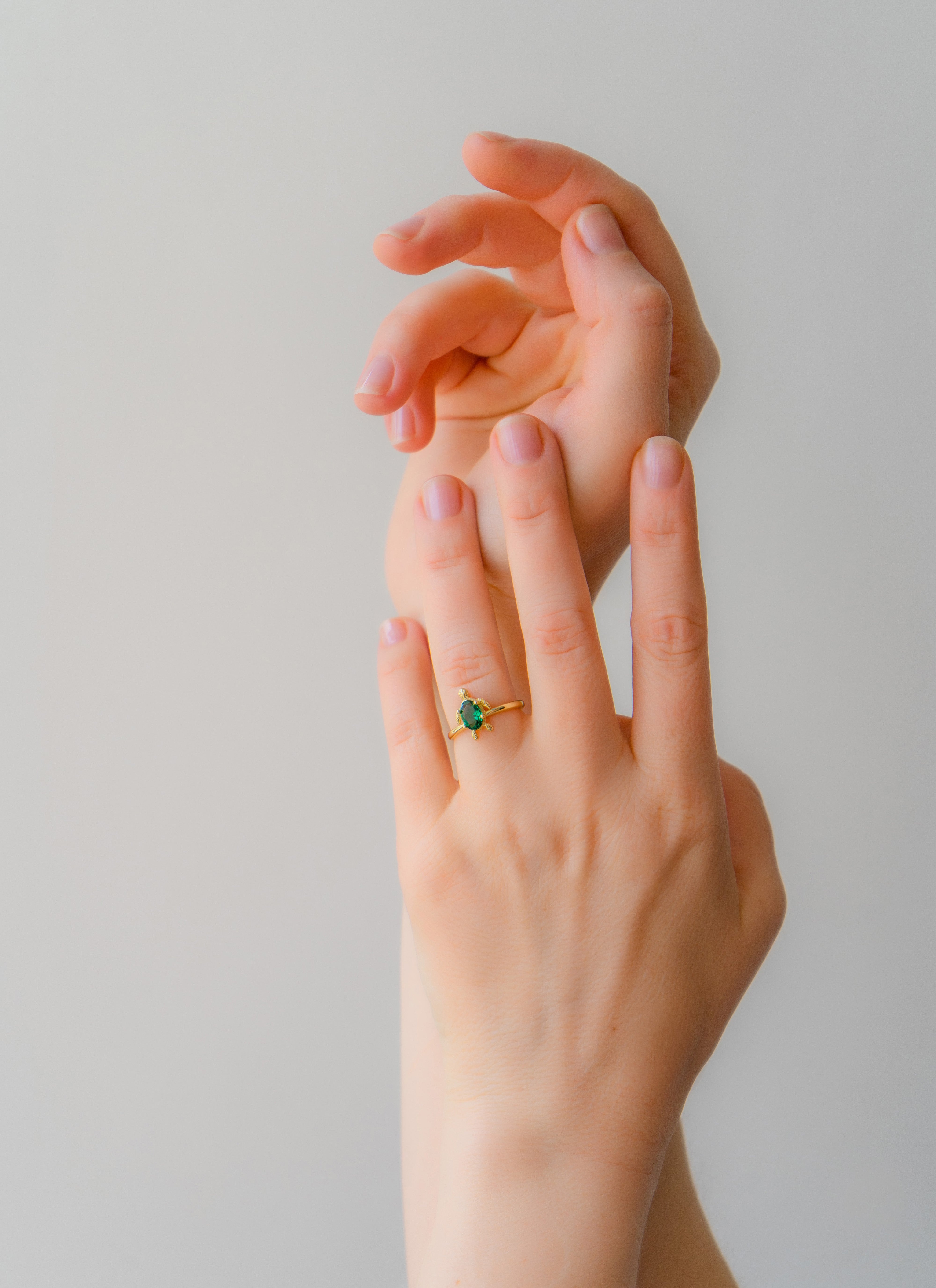 Follow The True Light - Sea Turtle Ring