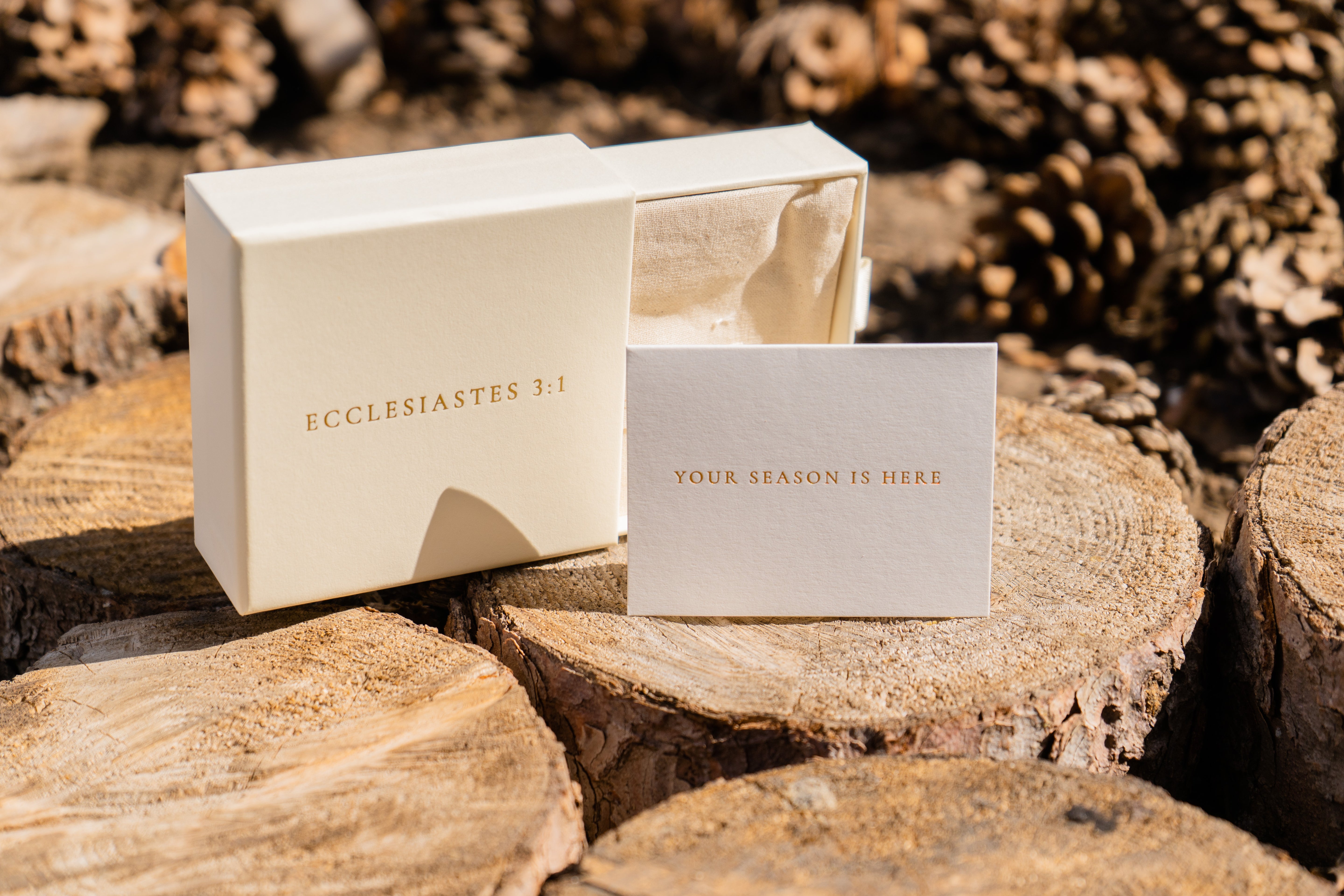 Hidden Blessings - Clover Locket