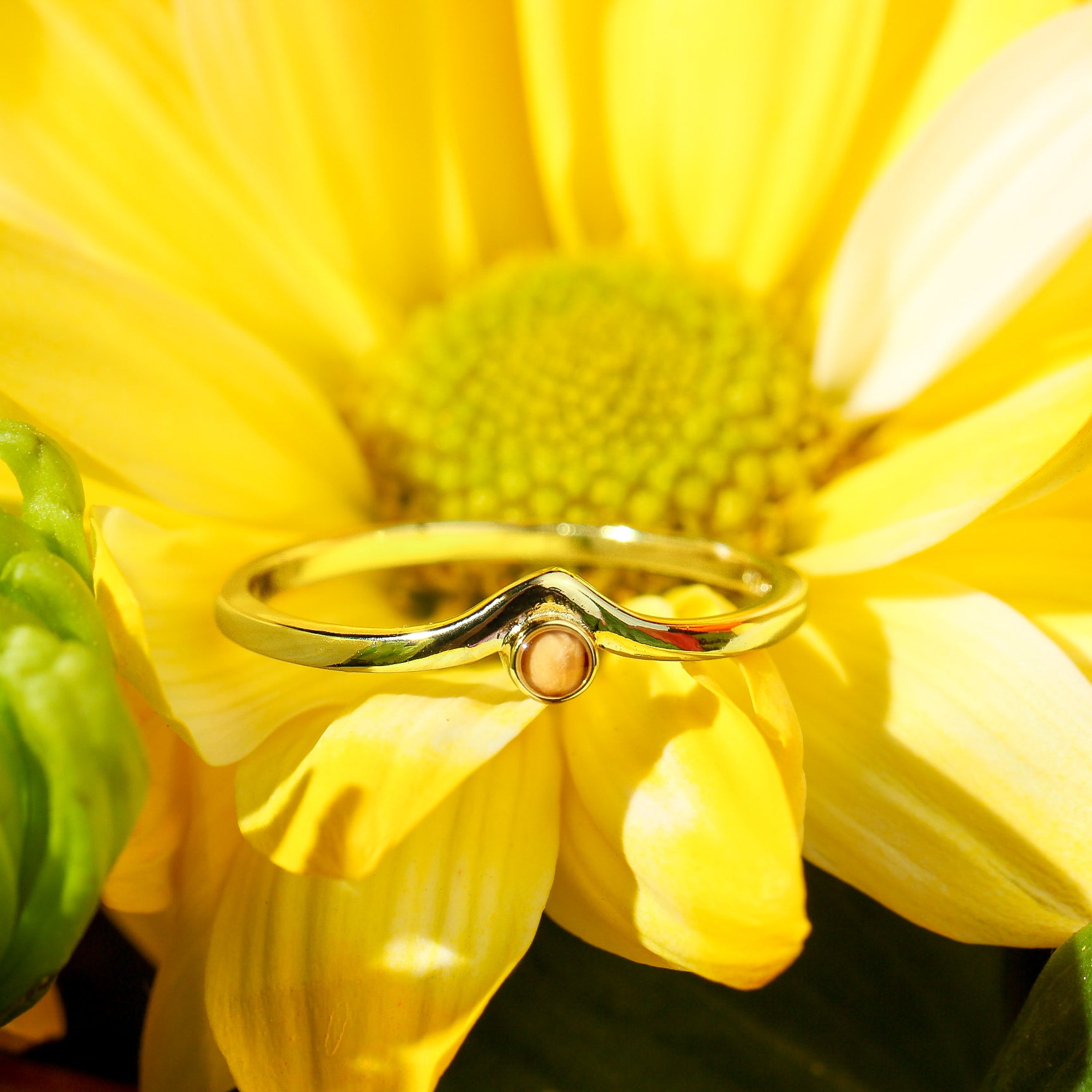 Dainty Move Mountains - Ring