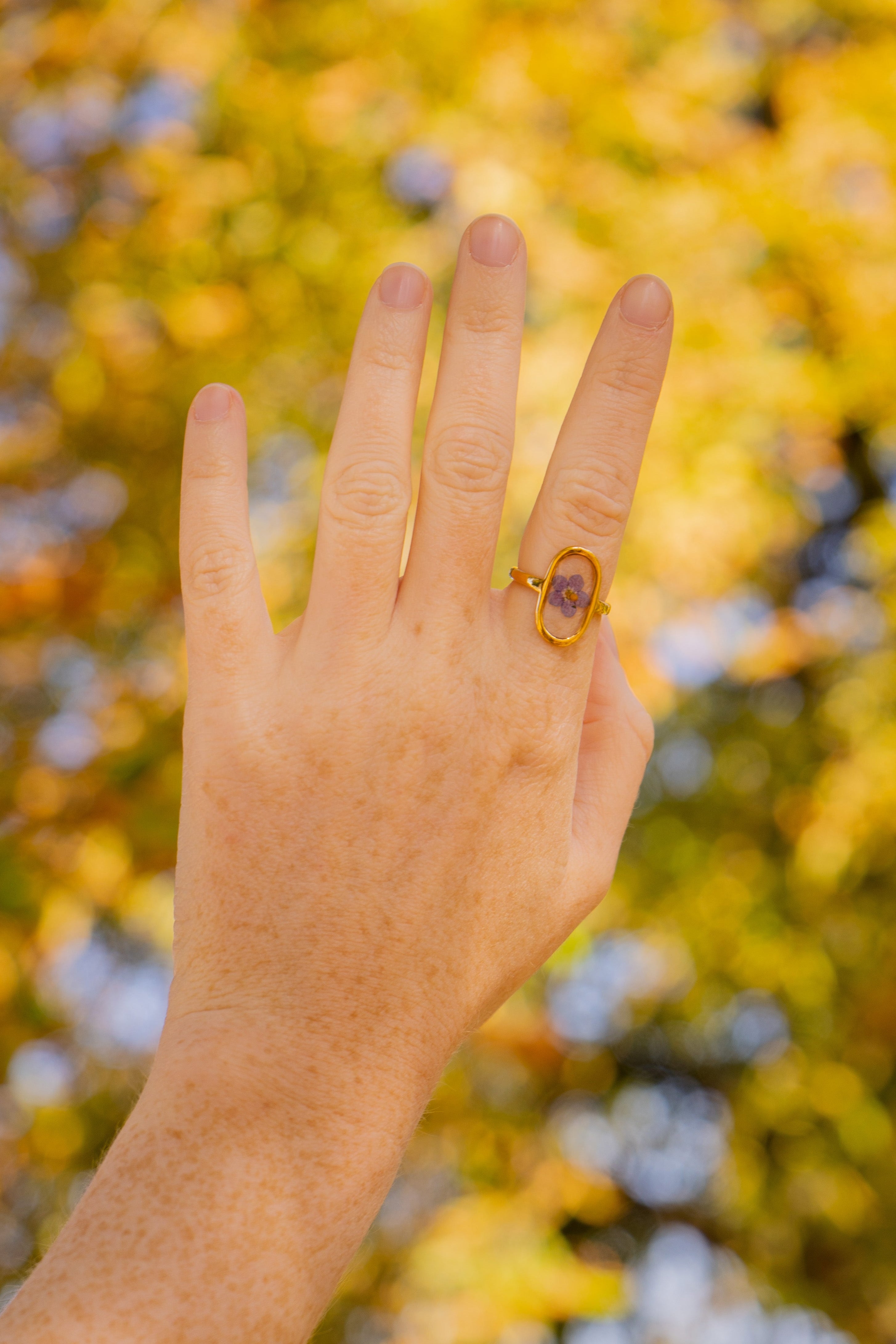 The Waiting Season - Oval Ring